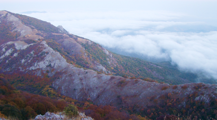 Слайд 2 галереи 3